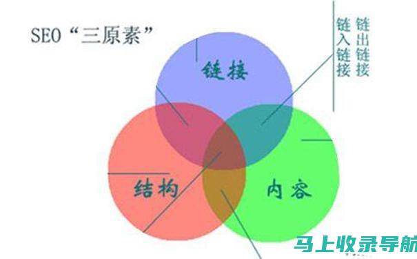 SEO零基础教学视频大全，带你一步步入门